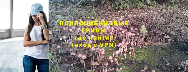 индика Алексин
