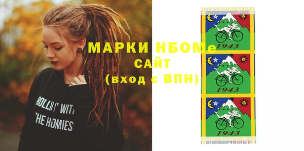 индика Алексин