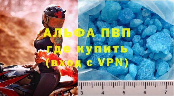 индика Алексин