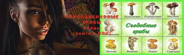 хмурый Алзамай