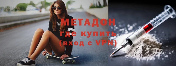 индика Алексин