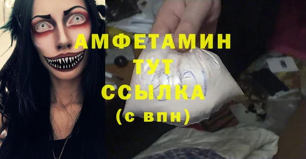 хмурый Алзамай