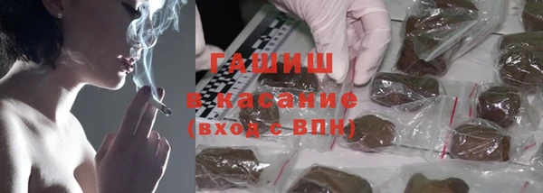 хмурый Алзамай
