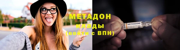 индика Алексин