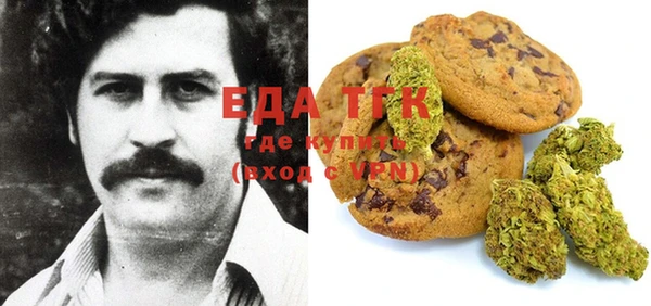 индика Алексин