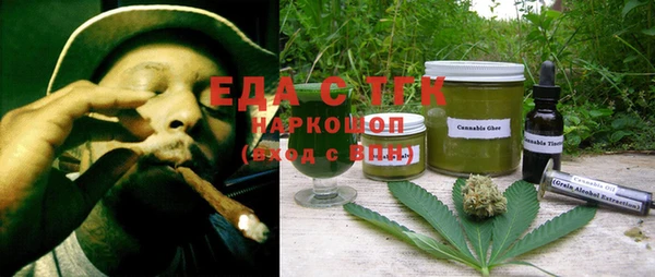 индика Алексин