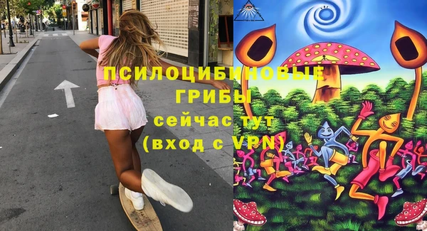 индика Алексин