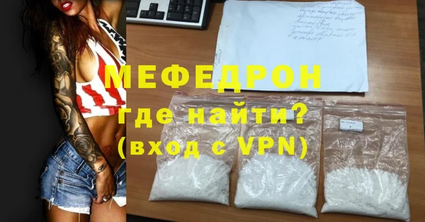 индика Алексин