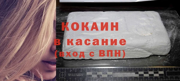 индика Алексин