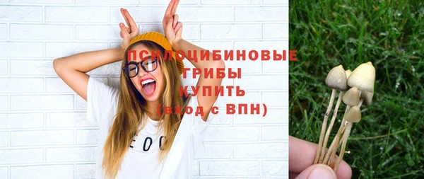 хмурый Алзамай
